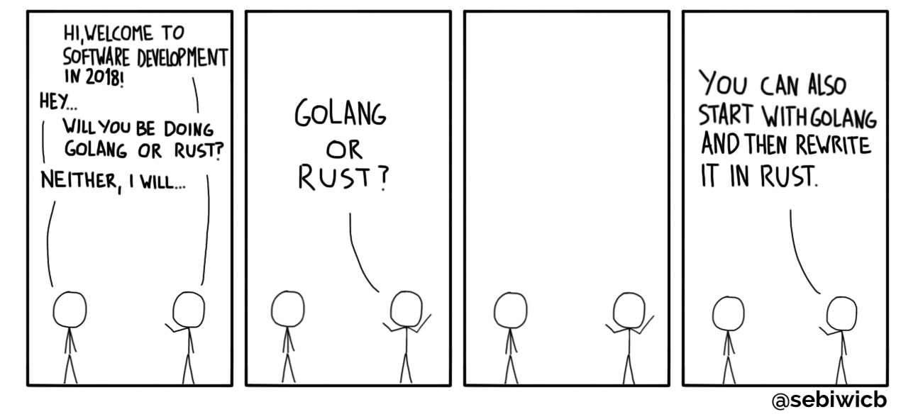 It seems crazy to look like a moron if you're not doing either golang or rust in 2018.