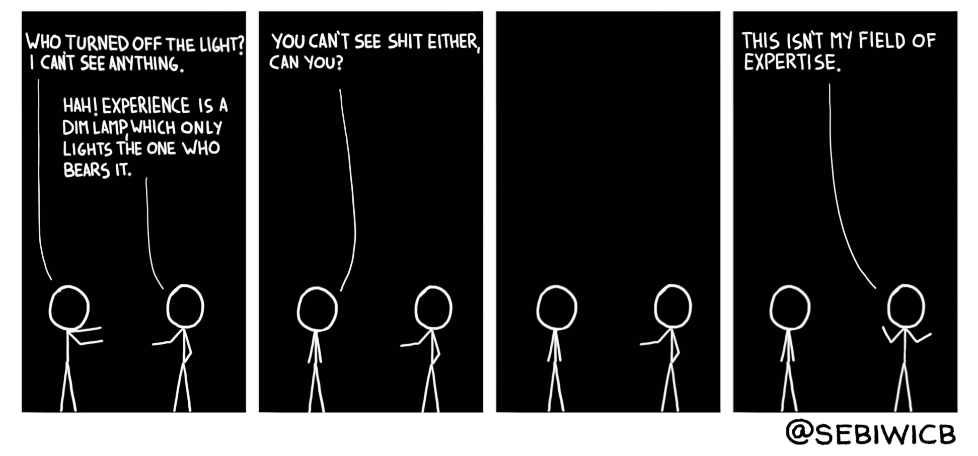 Experience is a dim lamp which only lights the one who wears it. This isn't my domain of expertise though.